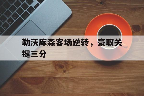 勒沃库森主力球员